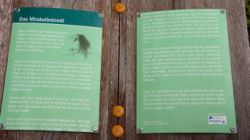2013-08-12_Rupert-B-Frohkostgipfel (026).JPG